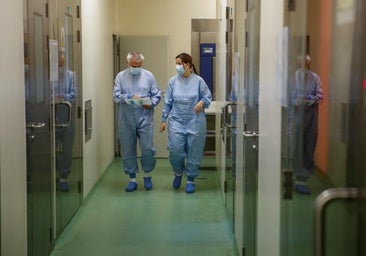 Agricultura investiga si el brote de peste porcina de Barcelona salió de un laboratorio